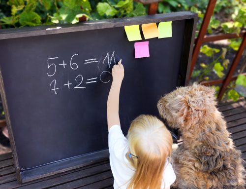 Back-to-School Considerations for Pets