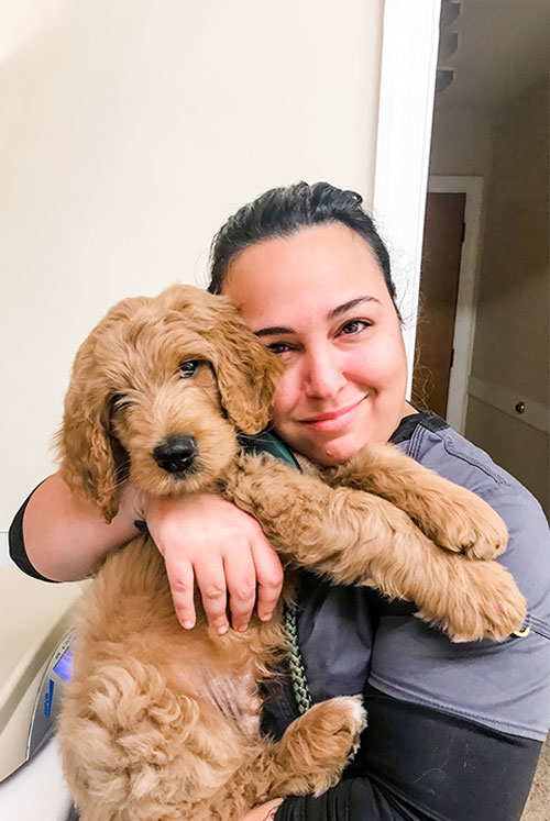 Boarding Vet in Chatham Chatham Animal Clinic